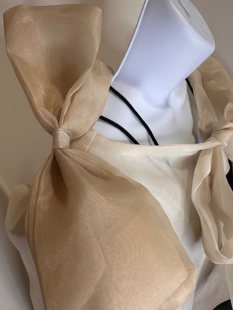 Ribbon Beige Filipiniana Bolero, Filipino Cultural Event